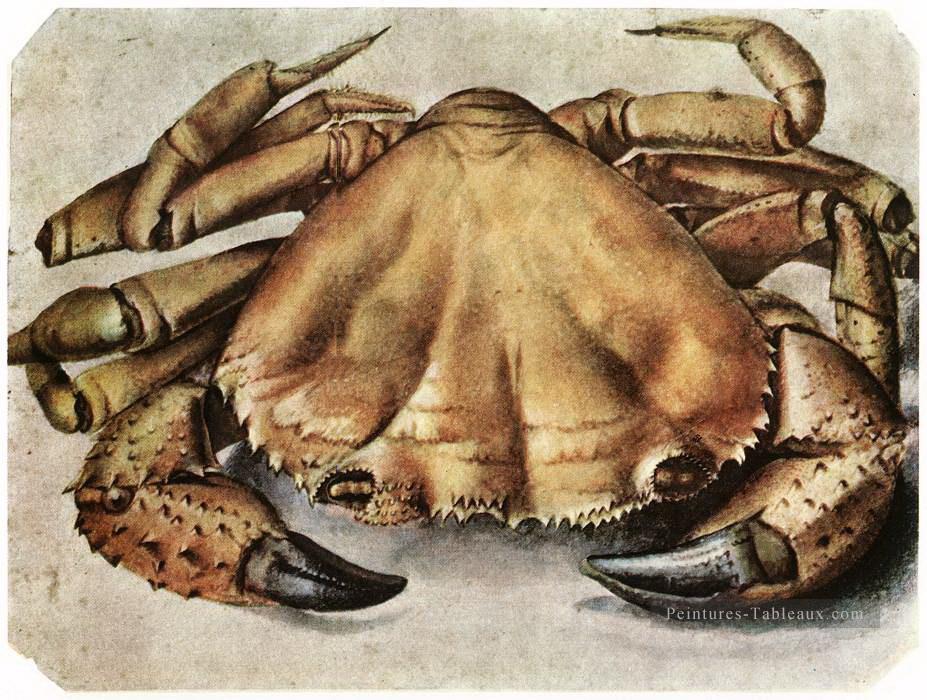Homard Albrecht Dürer Peintures à l'huile